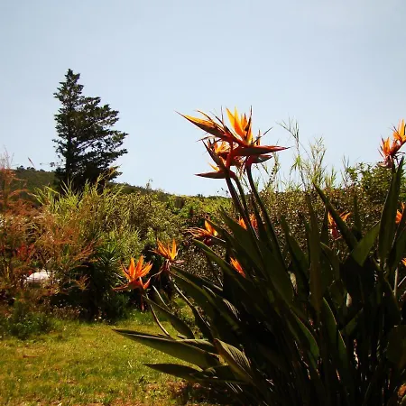 Le Mas De La Gavaresse Holiday home *